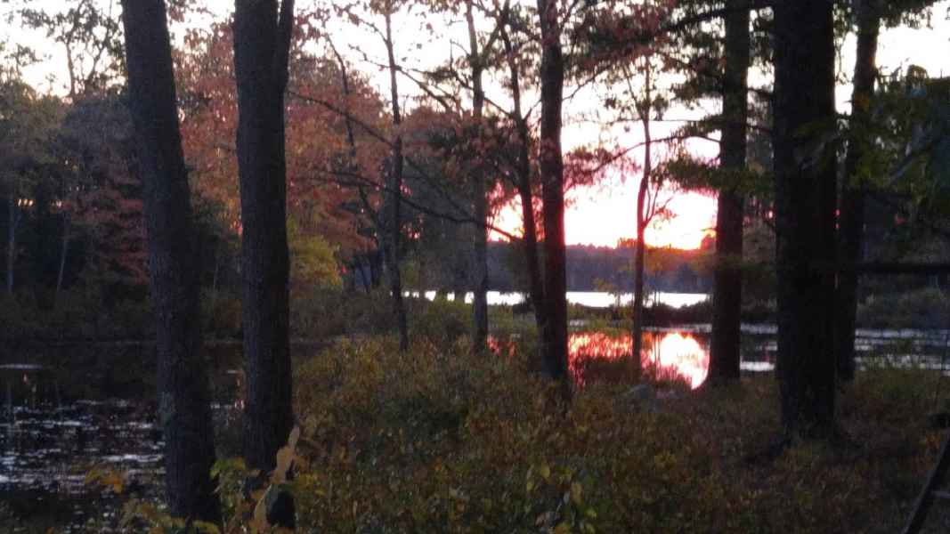 Peaking Through The Trees at The Lake in Barrington, New Hampshire