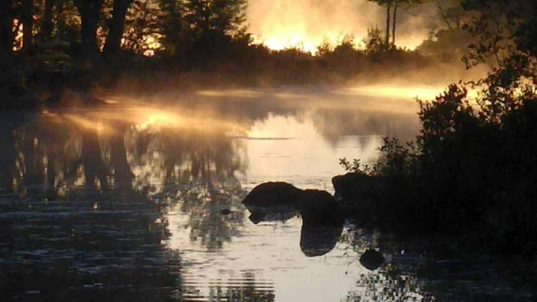 Fog at The Lake in Barrington, New Hampshire