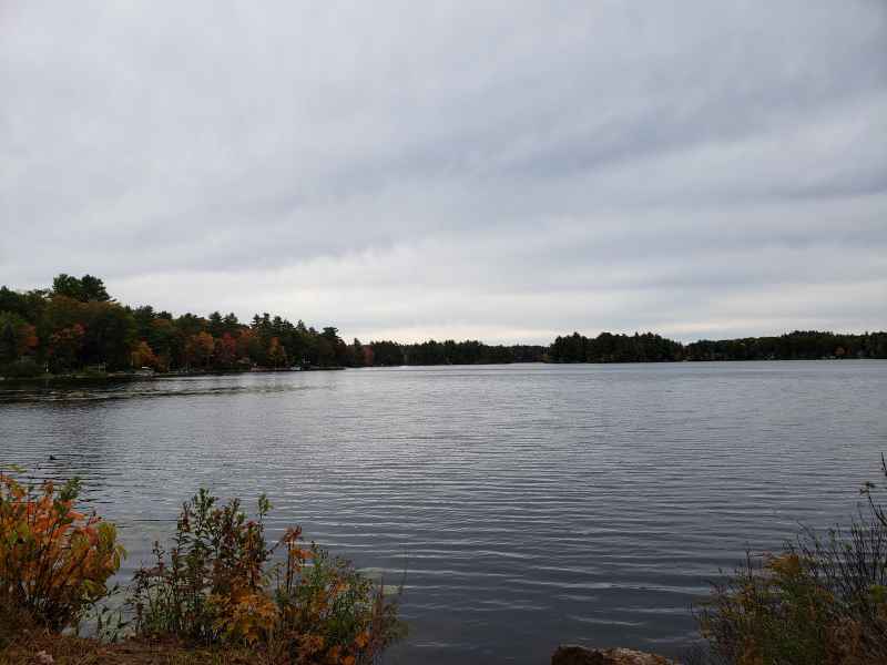 Fall Foliage in Barrington, New Hampshire