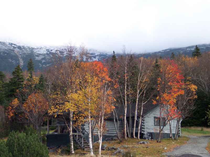 Mt. Washington Fall Foliage Photograph