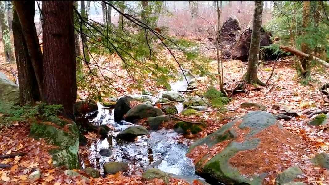 Fall in New Hampshire from Lisa Hoffman