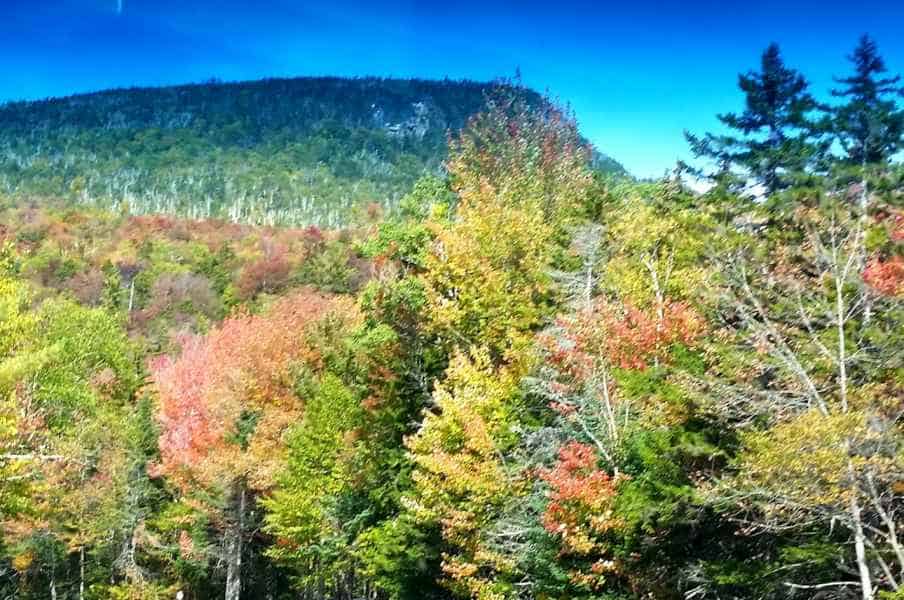 Fall in New Hampshire from Lisa Hoffman