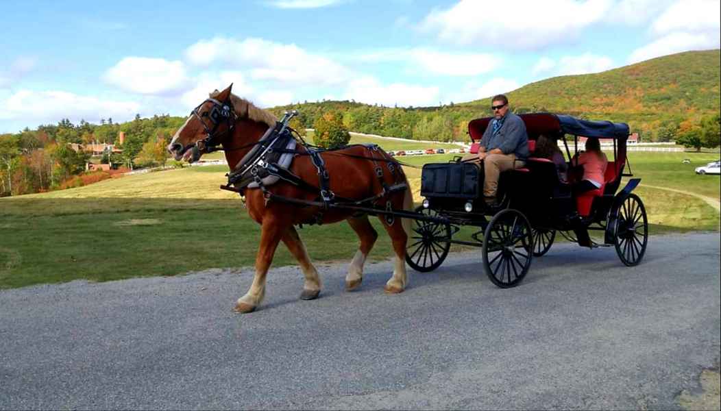 Horse Carriage with Fall Foliage in New Hampshire from Lisa Hoffman