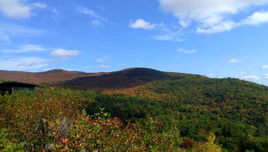 Fall Foliage in New Hampshire from Lisa Hoffman