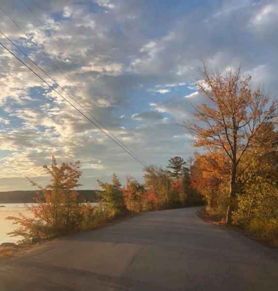 Fall Foliage in New Hampshire from Elaine Howard