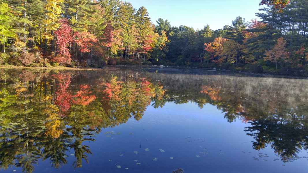 Fall Foliage at the Lake in Barrington from Lisa Hoffman