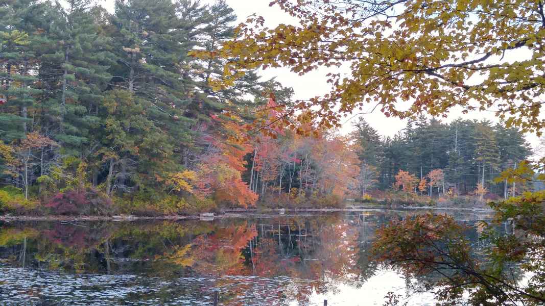 Fall Foliage at the Lake in Barrington from Lisa Hoffman