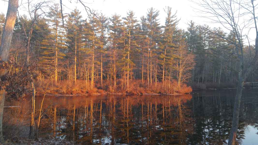 Fall Foliage at the Lake in Barrington from Lisa Hoffman