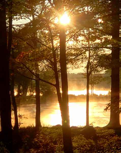 Fall Foliage at The Lake in Barrington from Lisa Hoffman