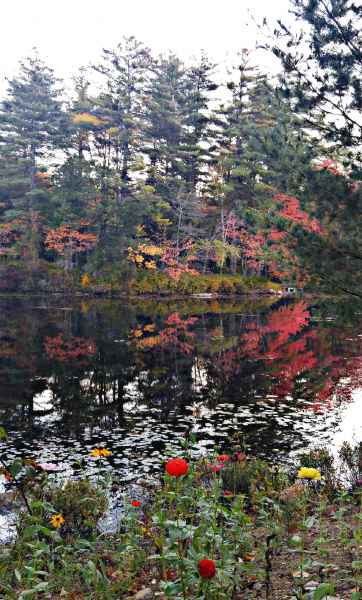 Fall Foliage at the Lake in Barrington from Lisa Hoffman