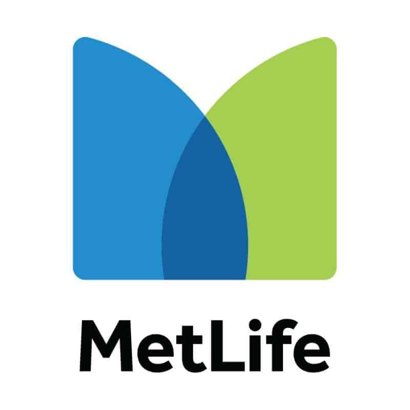 Ann Huckins, MetLife